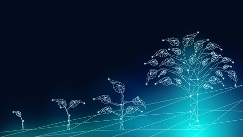 Wachstumsstadien digitaler Baum Wachstumsstadien digitaler Baum