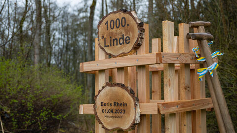Ministerpräsident Boris Rhein hat bei seinem Besuch des Tiergartens Weilburg einen Baum am Ende der historischen „Tausend-Linden-Allee“, die den Wildpark mit der Stadt Weilburg verbindet, gepflanzt. Ministerpräsident Boris Rhein hat bei seinem Besuch des Tiergartens Weilburg einen Baum am Ende der historischen „Tausend-Linden-Allee“, die den Wildpark mit der Stadt Weilburg verbindet, gepflanzt.
