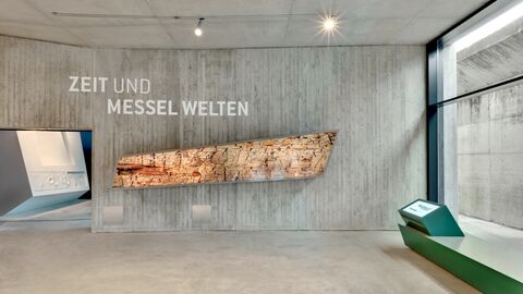 Im Besucherzentrum Grube Messel geht es um Industriegeschichte, Landschaft, Vulkanismus, Regenwald und Evolution. Eingangsbereich des Besucherzentrums Grube Messel